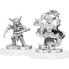 Goblin Sorcerer and Rogue